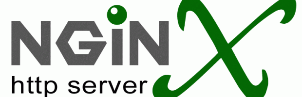 Salto de restricciones de seguridad en servidores nginx